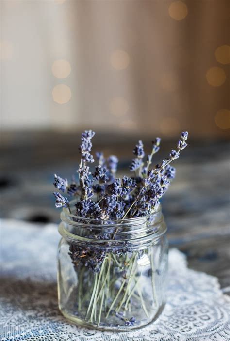 Witchcraft uses for lavender